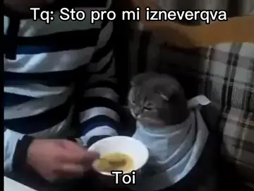 #fyp #vibe #fypシ #bg #fyppppppppppppppppppppppp #bulgaria #you #funny #viral #foryoupage #page #for #meme