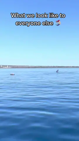 Absolutly can’t wait for the whales to head home to Maui. I miss them 🧜🏻‍♀️🐋 #Adventure #fyp #foryoupage #mylife #travel #wildlife #nature #beautiful #trending #mylife #beautiful #comfortzone #livelaughlove #happysaturday