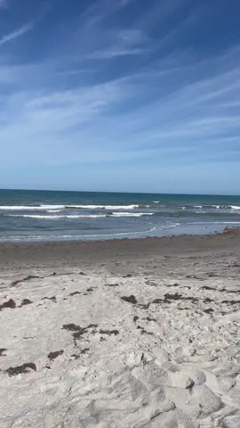 #cocoabeach #buriedinsand