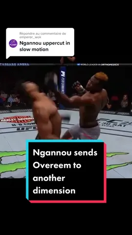 Réponse à @emperor_wok Francis Ngannou sends Alistair Overeem to another dimension 🥶 / If you have any suggestions for highlights don’t hesitate / 🎥 s.o SLOW & HYPER MMA on yt / #FrancisNgannou #francisngannou🇨🇲 #Ngannou #AlistairOvereem #Overeem #ThePredator #KO #OutCold #UFC #ufcknockout #mma #mmaknockout #uppercut #foryou #fy #fyp #fypシ #PourToi