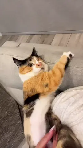 I did not expect this reaction, I feel so bad 🥲 #fyp #foryou #foryoupage