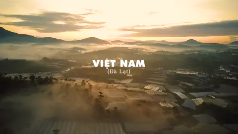 Đà Lạt những mùa sương giăng kín lối 🌲 #dalat #dalatstory #vietnam #travel #trending #xuhuong #dalattrip