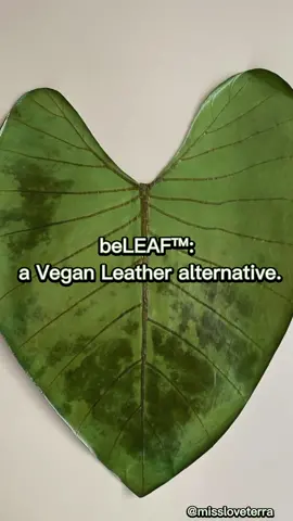 beLeaf: a vegan leather alternative💚 #fashion #ecofashion #ecoblogger #newlife #ecotoker #fy #fashionblogger