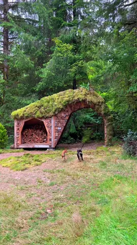 ❗️New structure at Cabinland❗️Made by my love @jacobwitzling #cabin #DIY #architecture #pnw #art