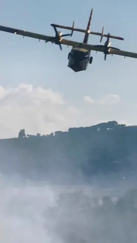 #canadair #vigilidelfuoco #corpoforestale #protezionecivile #incendio #antincendioboschivo #antincendio #fuoco #fuocoefiamme🔥