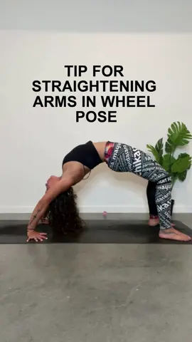Here's a tip to straighten your arms in wheel pose (urdhva dhanurasana)!  Try turning your hands OUT, almost to the outer edges of your mat. This should be a 45-60 degree angle. When you push up from here, you may find you have a lot more space to push your chest through!  Try it out & see if turning your hands outward makes a difference in your wheel pose! #yoga #wheelpose #wheelposeyoga #urdhvadhanurasana #wheelposetutorial #yogatips #yogatipsforbeginners #yogainversions #yogagirl #yogateacher #yogatok #yogatiktok