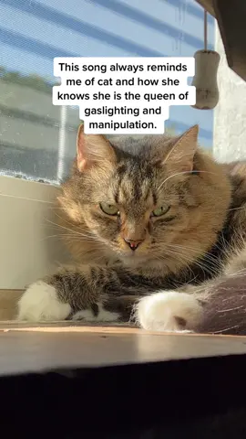 The queen gets whatvshe wants #cat #catsoftiktok #cats #catmom #catlover