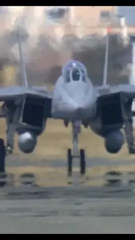 Happy Tomcat Tuesday!