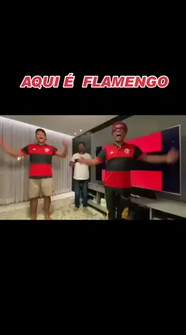 HAHA O BRABO #AnimaisNoTikTok #futebol #futsal #futebolbrasileiro #futebolmeme #futebol_raiz #dribles #drible #skills #futebolmuleke #flamengo #fut #crf #srn 