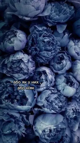 @savinadasha #шапаренко🐣 #савинадаша🤍