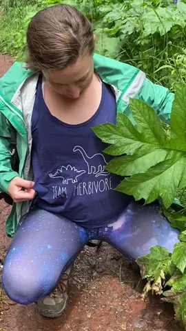 On a hike when you see a Jurassic Park leaf and are wearingn a dinosaur shirt… it had to happen. #jurassicpark #Hiking #telluride