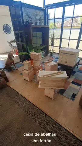 #abelhas #abelhasnativas #abelhasemferrao