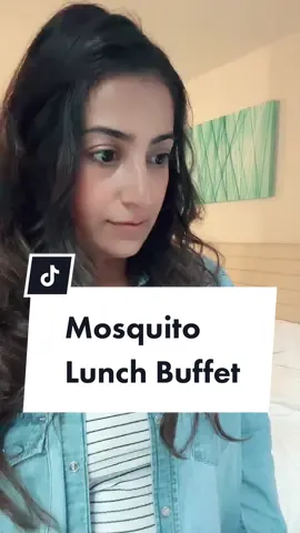 In that case we’re all safe to go outside #mosquito #momof4 #momslifebelike  #kiddoconvos #momlife #funny  #MomsofTikTok #bugbites