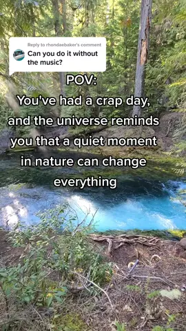 Replying to @rhondaebaker A quiet moment, with no music 😌 the ending has some bird sounds 🐦 #AdventureVibes #meditation #naturevibes #naturelover #traveltiktok