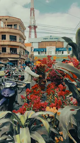 Chợ hoa ngày Tết thập niên 90 #xuhuong #chill #Tết