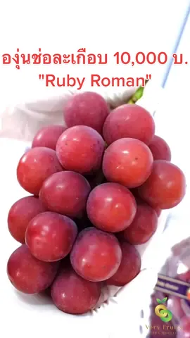 💵🍇องุ่นที่แพงที่สุดในโลก Ruby Roman ใช้เวลาวิจัยถึง14ปี ราคาช่อละเกือบ 10,000 บาท !! #ผลไม้แปลก #องุ่นที่แพงที่สุดในโลก #rubyroman