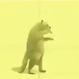 Cat dance in LED room #cat #dance #dancingcat #emcuangayhomqua #led #ledroom #meo