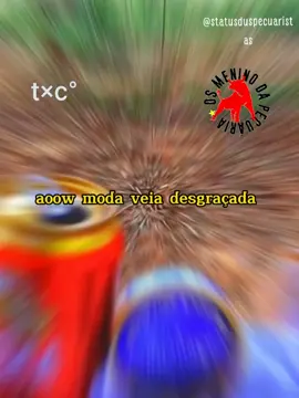 gradece os 2k💥🤠...#status_dus_pecuaristas #pecuaria #usmininodapecuaria #agro10brasil #pecuariabrasil🇧🇷🐂🐂🐂🐂