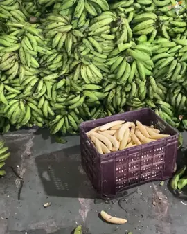 Factory making of Banana Chips in Mumbai #bananachips #snacks #yumyumindia #foodfactory #bulkfood #chips