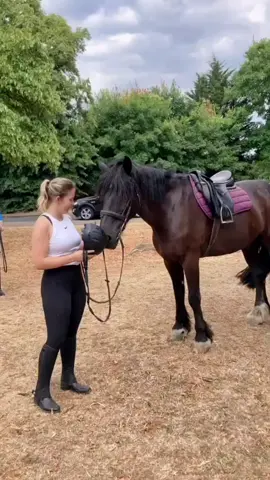 Horse riding is important to me because its an activity where there is no being the best, no sense of “performance”. Its you and the horse and nature, and I love that its an activity I do for myself. Whats yours? #horseriding #horsebackriding #horse #uk #london #richmondpark #staglodgestables