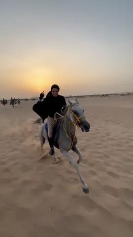 #اكسبلورexplore #dubai🇦🇪 #fortoupage #viral #horse #مصر_السعوديه_العراق_فلسطين #فارسة #دبي_امارات #الخيل_العربي_الاصيل #explore #خيل_وخياله #السعودية #explo
