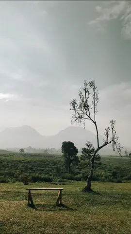 memang benar sendiri itu asik sisa nya kesepian.