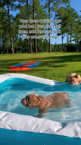 #ReTokforNature #Summer