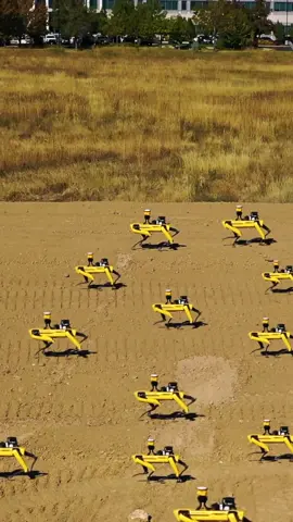 #Trimble #TrimbleConstruction #TrimbleTech #Spot #BostonDynamics #GNSS #Robot #Robotics #ConstructionTechnology #Construction #HeavyEquipment #Survey #HeavyEquipmentOperator #HeavyEquipmentLife #Surveying #SurveyLife #SurveyingLife #Surveyor