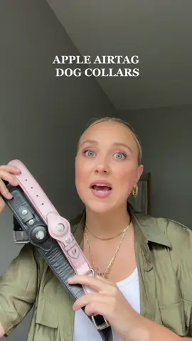 in my amazon storefront under “doggos” #amazonfinds #amazonaffiliate #dogmom #doodlemom