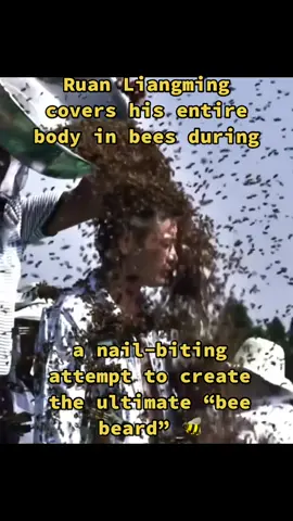 The performative act of ‘Bee Bearding’ 🐝 #DidYouKnow #didyouknowfacts #guinessworldrecords #worldrecord #challenge #facts #fyp