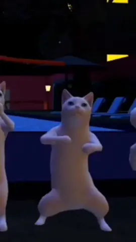 ✨el gatito tuyo te perdió✨#funny #humor #gatos #bailando #badbunny #efecto #gatitos
