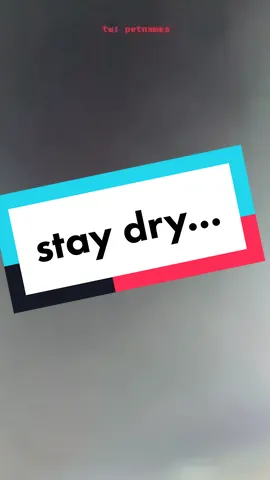 remember to hydrate 😉 🖤 #voice #domme #nsfwasmr #goodpet #asmr #teasing #mommydomme #findom #goddess #qinktok