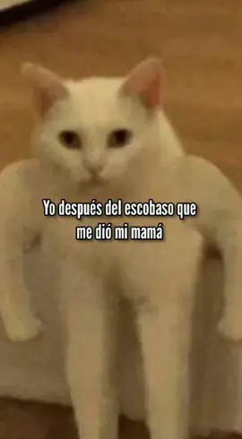#mamá #escobaso😂🤣 #risa #humor #micolorfvesel4 #tiktok asme #viral