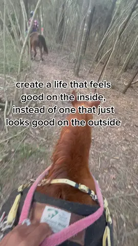 #vibratehigher #domoreofwhatmakesyouhappy #fyp #lotusgarden #peace #innerg #horses #horsebackriding #forest #nature