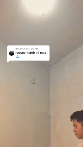 Membalas @aris.rifai teteg ati lunas ya bang 😁 #tetegati #tiaralinggar  #damarade #fouryoupage #fypシ #coversong #coverlagu #ngertenonoaku #twentynineofficial