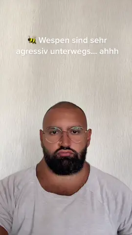 Wer wurde schon gestochen? Ich 4 mal🐝😱#fy #machdasplusweg #viral #wespen #foryoupage #frankfurt #trend #machdasherzrot
