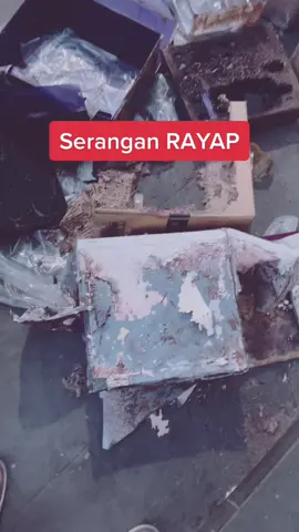 Tak ada yang abadi kawan!!!! 😭😭😭 #rayap