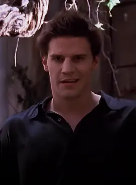 if evil why hot? #buffythevampireslayer #buffysummersedit #angelbtvs #angelusbtvs #angelusedit #davidboreanaz #angelbtvsedit #btvsedit #angeltheseriesedit
