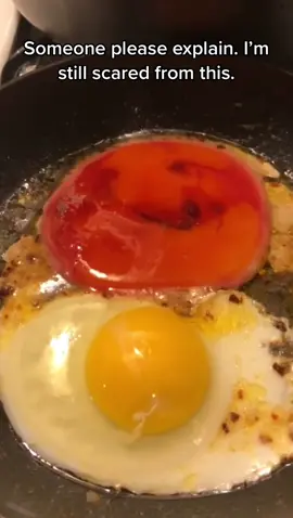 Still scared from this. Still hard for me to eat eggs some days when i remember this😩😩😭😭😭. #egg #sunnysideup #breakfastchallenge #nourisheveryyou #findyourgrace #viral #someoneexplain #scaredforlife #crying #OhNo