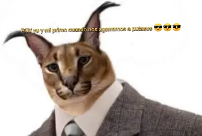 que se armen los putasossss 🤣