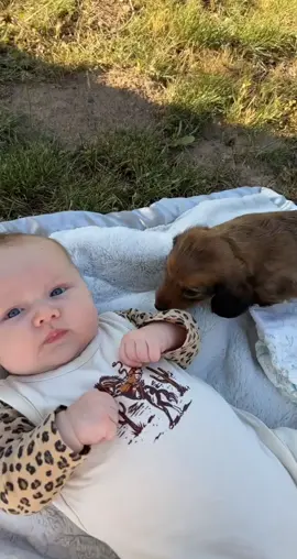 My neice + Slinky😍 Doesn’t get much cuter! #dachshund #daschshundpuppy #puppy #baby #babylove #puppykisses #weineedog #weeniedoxie