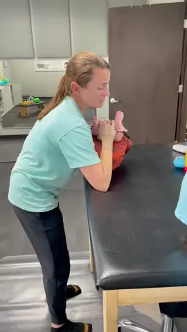 A little friday afternoon #session! #dmi #dmitherapy #pediatrics #pediatrictherapy #therapy #therapytiktok #pediatricpt #pt #physicaltherapy #cmv #cmvawareness #microcephaly #microcephalyawareness #medicallycomplex #medicallycomplexbaby #specialneeds #developmentallydelayed #gettingstronger #medicalmama #tubie #readysetromper #rsr