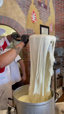 Fresh mozzarella in Long Beach at La Parolaccia #cheese #cheesepull #fyp