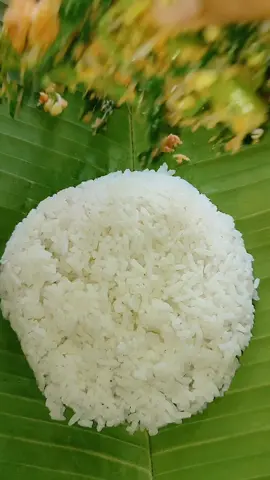 mari makan, hari ini aku masak urab+ayam goreng+tempe goreng..... pokoknya lezat dan bergijiii kalo kata bang mursid 😅#urabsayur #ayamgoreng#tempe