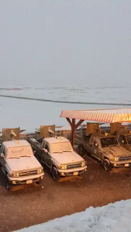 #نجران#اكسبلور #اكسبلورexplore #برد#ثلج#نجران#صالح_المانعه