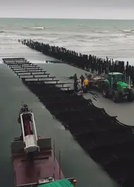 #baiedesomme #mouledebouchot #mussel #plage #mer #beach #sea #moule