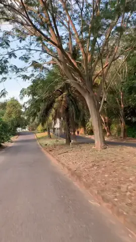 kangen tembalang kangen polines #bukitsenjadiponegoro #tembalangsemarang