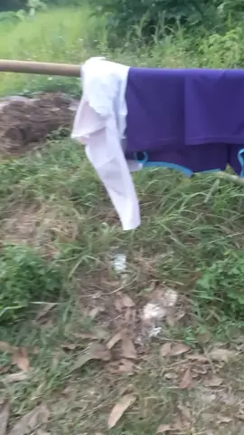 เก็บเสื้อผ้า