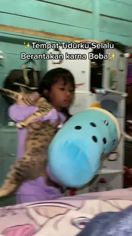 MAU PINDAH RUMAH