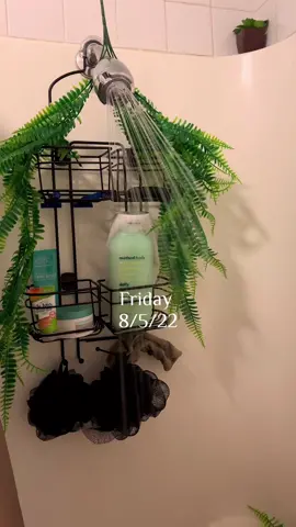 Daily Diary Entry 🌙 #dailyvlog #femaleblogger #blackwomenoftiktok